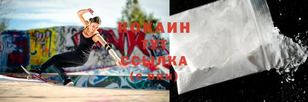 стафф Бородино