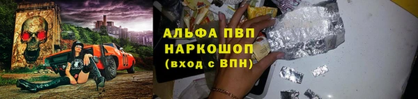 стафф Бородино