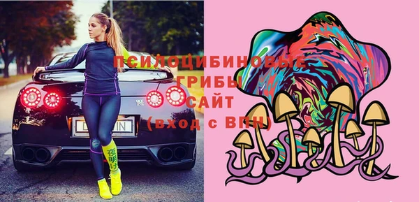 стафф Бородино