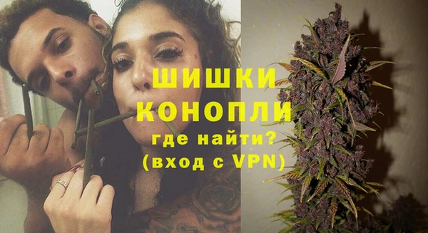 стафф Бородино