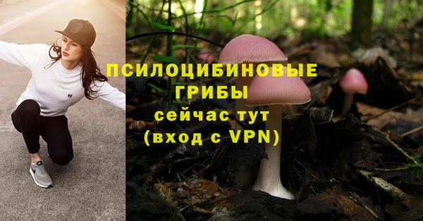 стафф Бородино