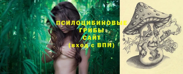 стафф Бородино