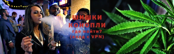 стафф Бородино