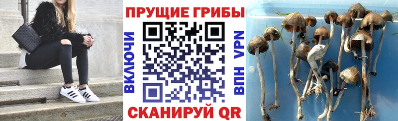 Галлюциногенные грибы MAGIC MUSHROOMS  Когалым 